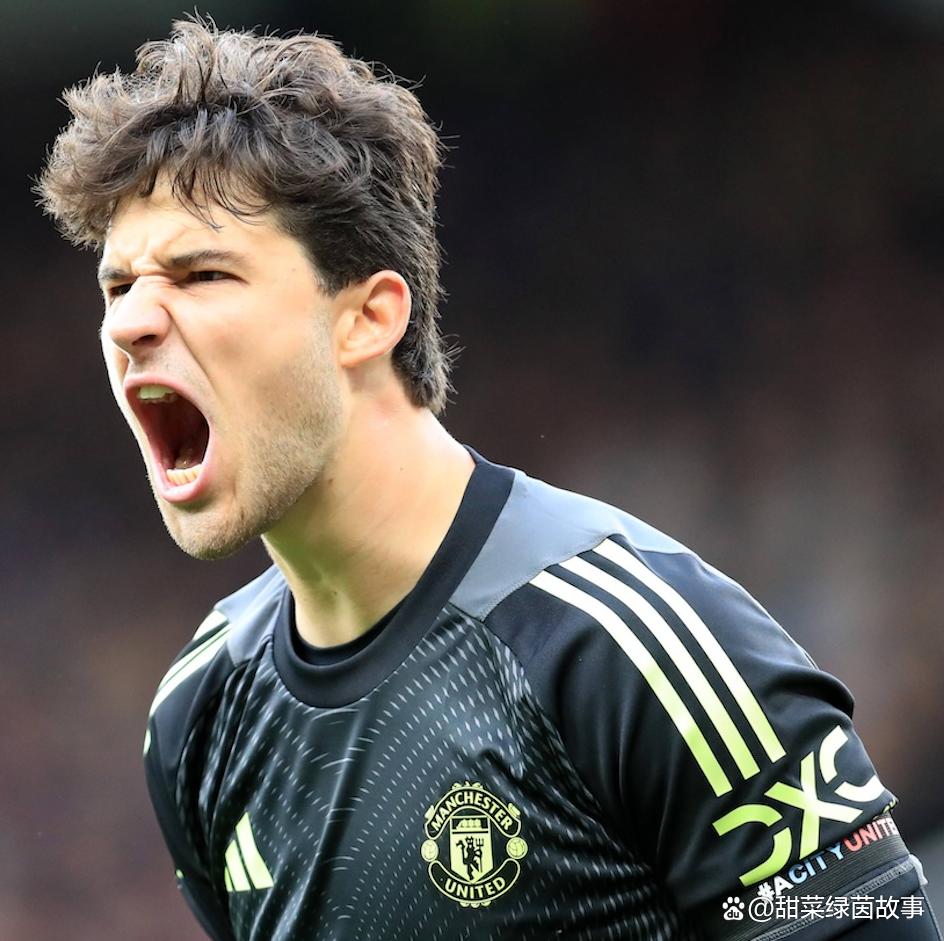 bet365平台-巴塞罗那球星受伤退出赛场,影响球队战术调整吗